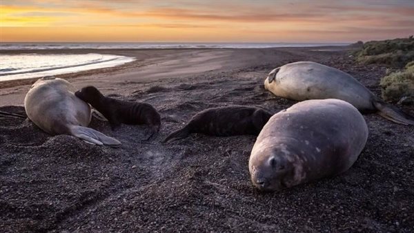  صورة تعبيرية 