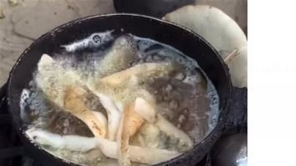 فلسطينيون يطهون قشر