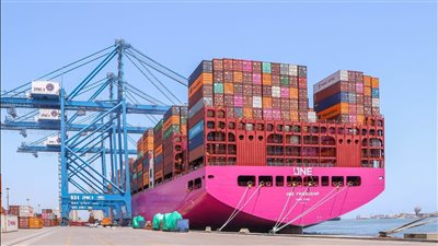 ميناء دمياط يستقبل 10 سفن بإجمالي بضائع تتجاوز 51 ألف طن