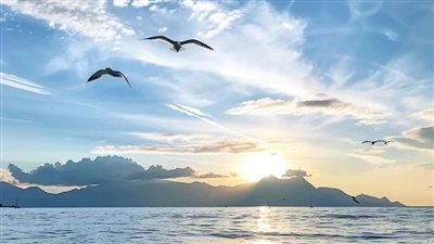 حملها على موبيلك| أذكار الصباح كاملة مكتوبة وبالصور.. أدعية وآيات قرآنية للتحصين