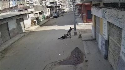 ضبط شاب استدرج فتاة لعقار مهجور وحاول التعدي عليها بالإسكندرية | بث مباشر 