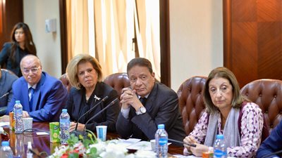 الأعلى للإعلام: إطلاق الاستراتيجية الإعلامية لـ حقوق الإنسان الأسبوع المقبل