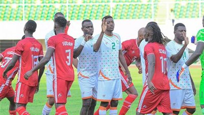 النيجر يفوز على السودان في تصفيات أمم إفريقيا.. وتمنح غانا قبلة الحياة