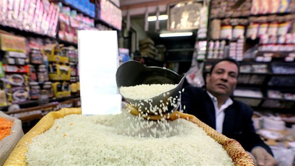 الأرز - أرشيفية