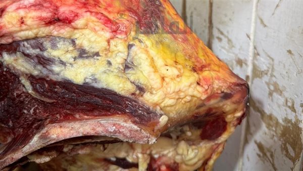 لحوم مذبوحة خارج