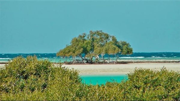 شاطئ القلعان بالبحر