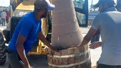 استعدادا للموسم السياحي واحتفالات الكريسماس.. رفع كفاءة الأشجار بالميادين العامة بالأقصر| صور