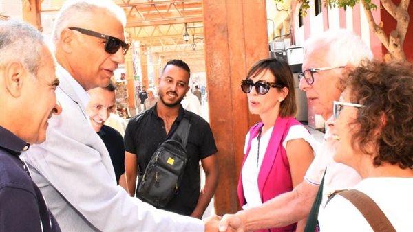 محافظ أسوان