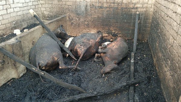 جانب من الحريق 