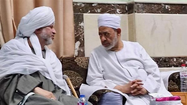 شيخ الأزهر والسيد