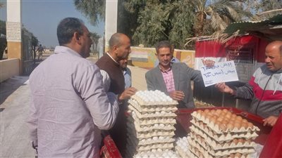 الكرتونة بـ150 جنيها.. طرح بيض المائدة بأسعار مخفضة في 10 منافذ ببني سويف