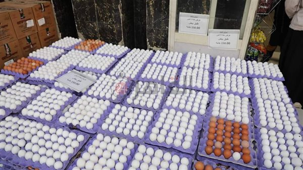 محافظة المنيا