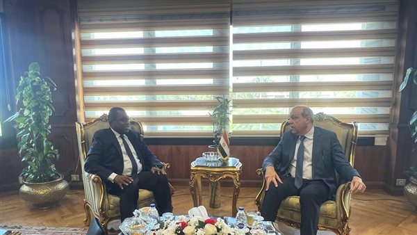 جانب من الاستقبال