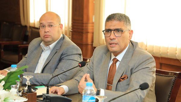 محافظ الجيزة 