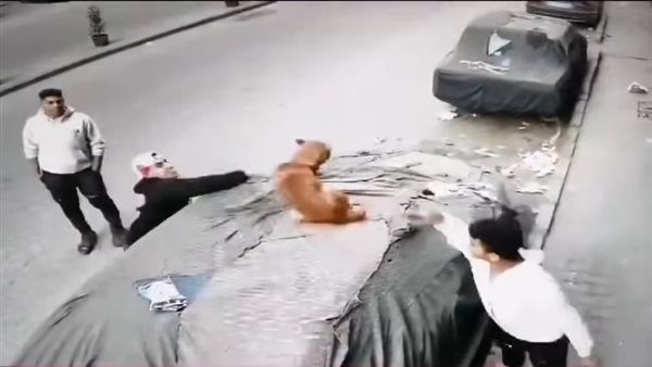 جانب من الفيديو