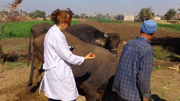 بيطري المنيا 