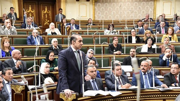 المستشار محمود فوزي