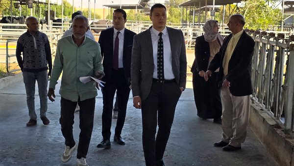 فريق النيابة الإدارية