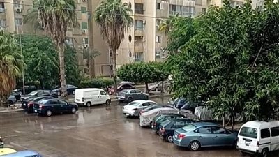 هطول أمطار على الإسكندرية وبورسعيد في ثالث أيام نوة المكنسة | بث مباشر