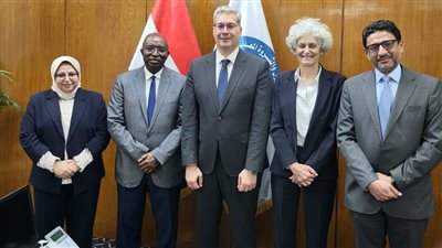 مؤسسة التمويل الدولية: نتطلع إلى زيادة التعاون مع مصر في قطاع الطاقة 