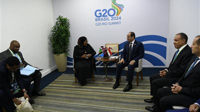 السيسي يناقش مع رئيسة تنزانيا الجهود المصرية لإنهاء إنشاء سد جوليوس نيريري