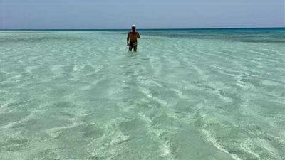 30 نوفمبر.. أولى جلسات محاكمة المتهمين بالتعدي على شاطئ حنكوراب بمحمية وادي الجمال