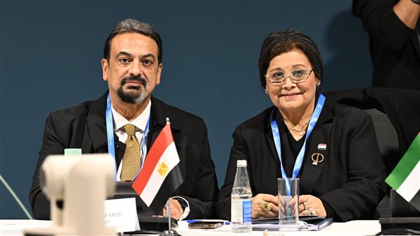 الوفد المصري المشارك