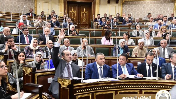 المستشار محمود فوزي