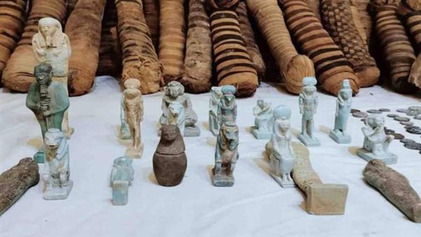 القطع الأثرية المضبوطة