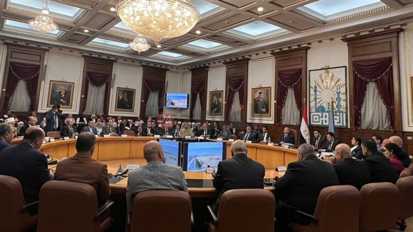 المجلس التنفيذي لمحافظة