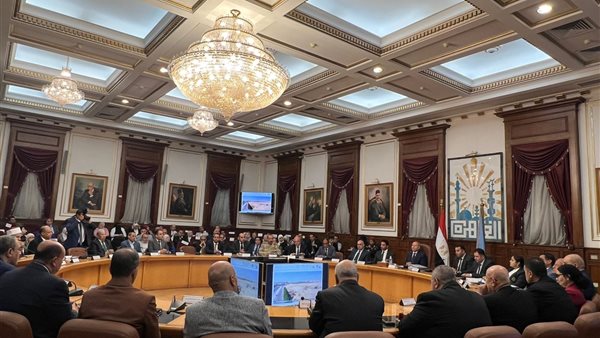 محافظ القاهرة 