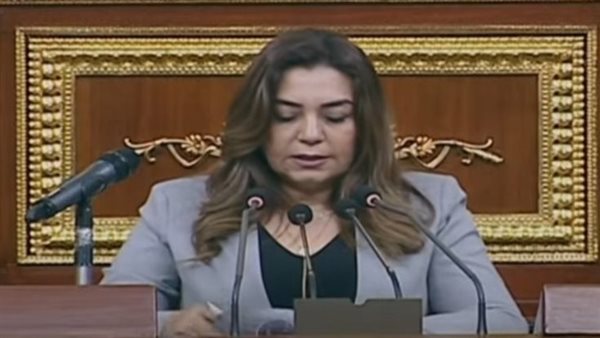 وزيرة التنمية المحلية