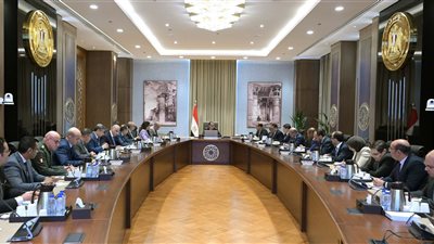 رئيس الوزراء يوجه بالاستعداد والترتيب لزيارة موقع محطة الضبعة النووية يناير المقبل