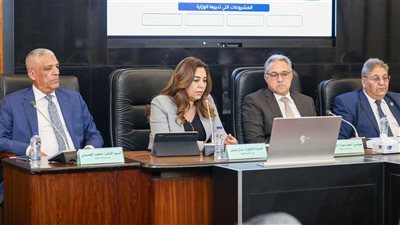 وزيرة التنمية المحلية: 59 ألف شركة استفادت من تدخلات برنامج التنمية المحلية بصعيد مصر