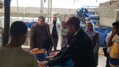  ضبط 30 طنا من المخلل الفاسد في الدقهلية 