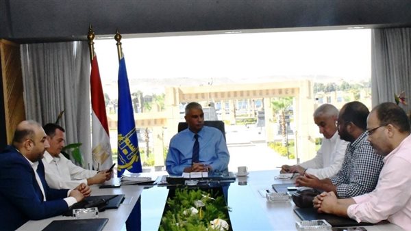 محافظ أسوان