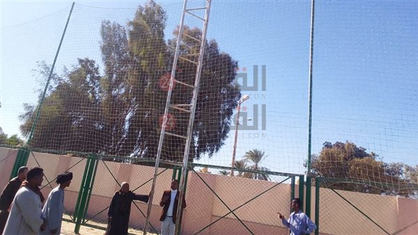 لجنة من الشباب والرياضة