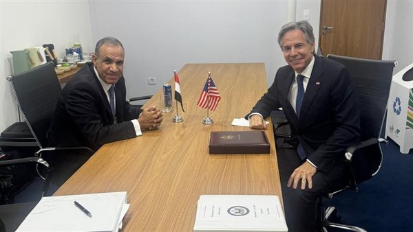 وزيرا خارجية مصر