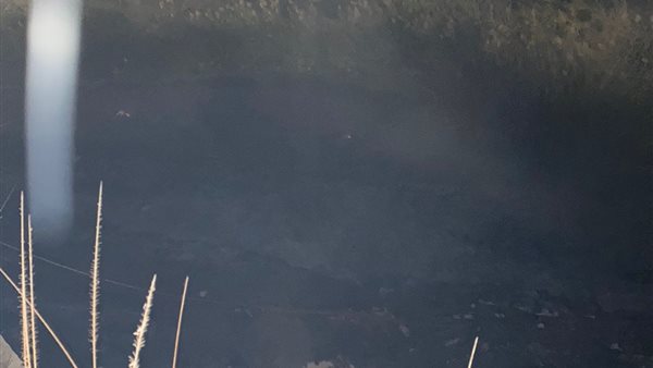 حريق محدود بجوار