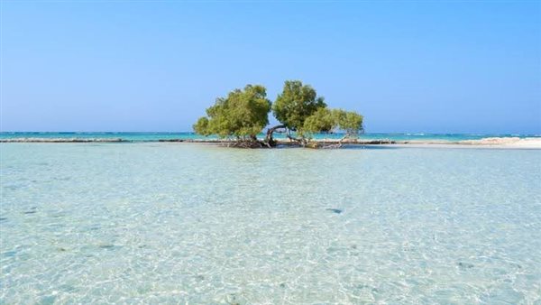 شاطئ شرم اللولى بمرسى