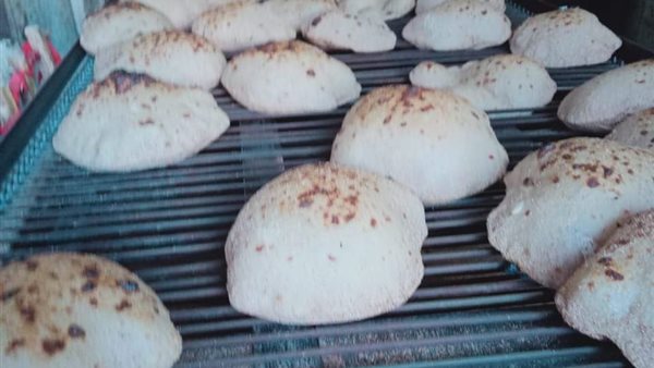 حملات تفتيشية بالمنيا