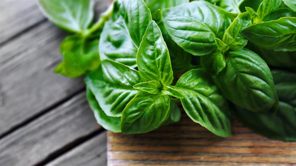 ما هي الخضروات التي