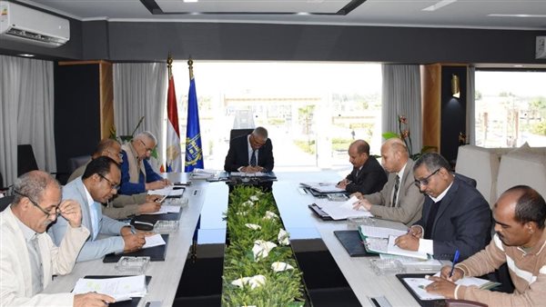 محافظ أسوان