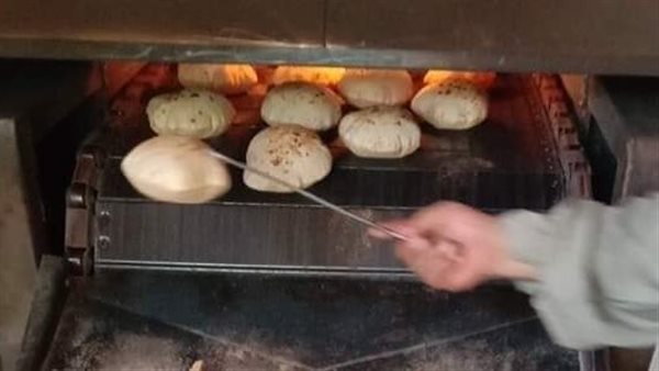 حملات تفتيشية بالمنيا