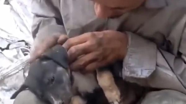 لقطة من الفيديو