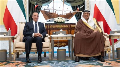 وزير الخارجية يعرض على ولي العهد الكويتي الاستفادة من الخبرات المصرية في مشروعات البنية التحتية