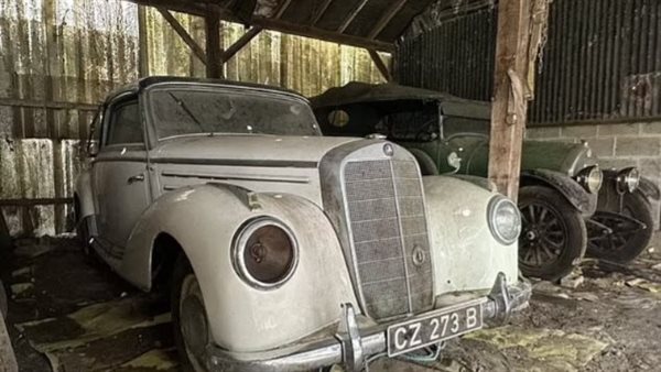 بيع سيارتين في مزاد