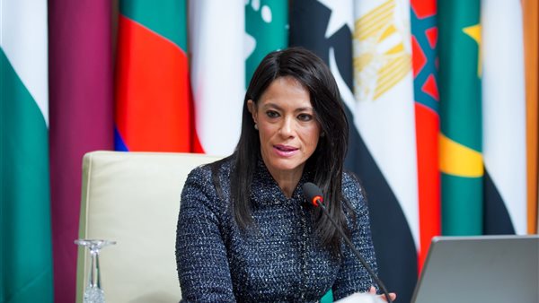 وزيرة التخطيط