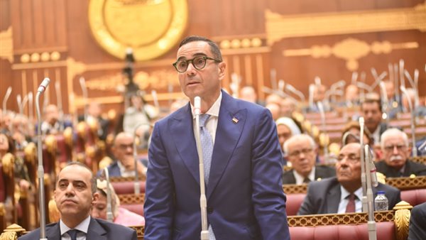 وزير الاستثمار