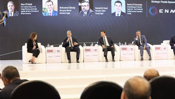 جانب من الجلسة 